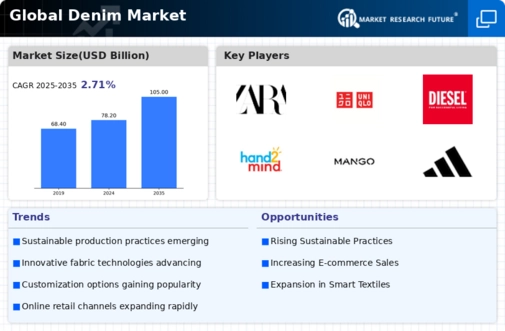 Denim Market Infographic