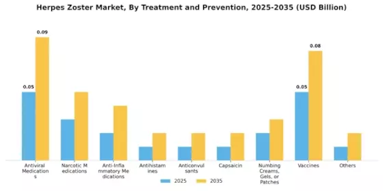 Herpes Zoster Market Segment Image 1
