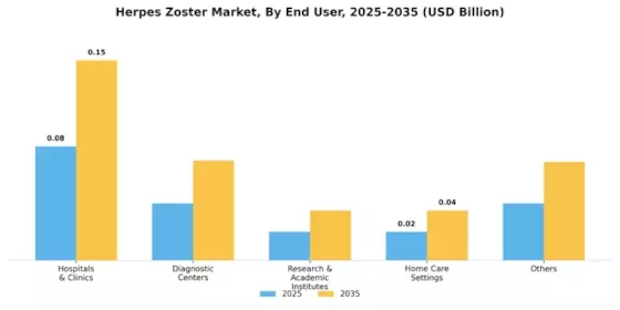 Herpes Zoster Market Segment Image 3
