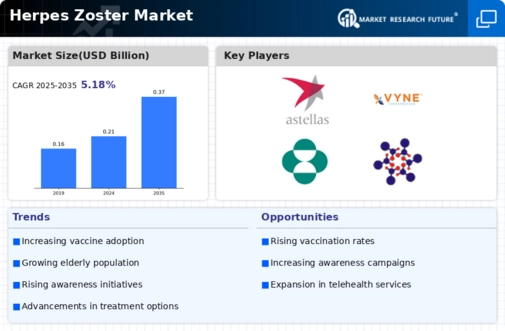 Herpes Zoster Market Infographic
