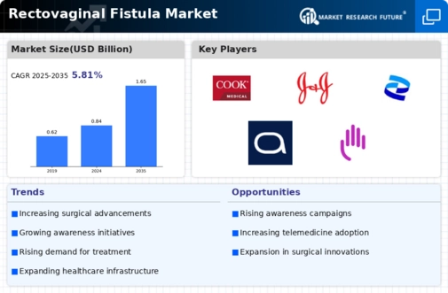Rectovaginal Fistula Market Infographic