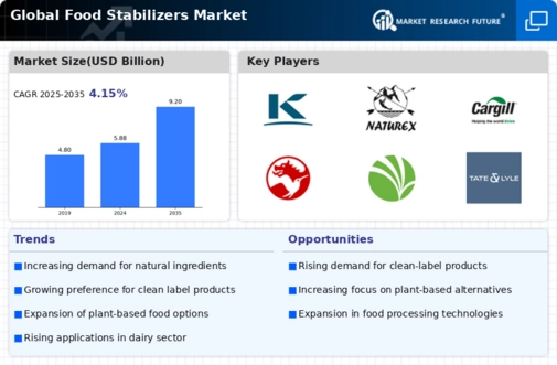 Food Stabilizers Market Infographic