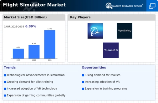 Flight Simulator Market Infographic