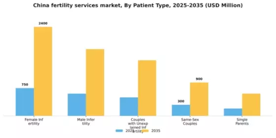 China Fertility Services Market Segment Image 1