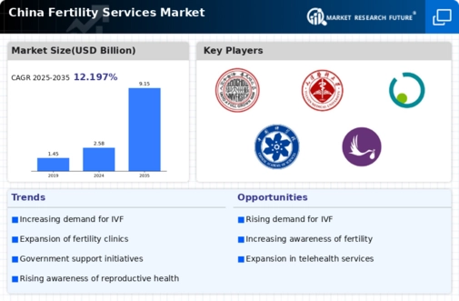China Fertility Services Market Infographic