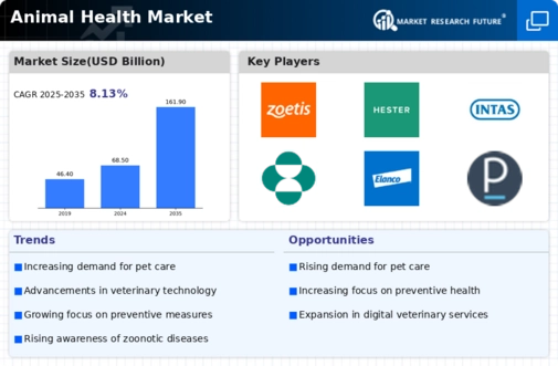 Animal Health Market Infographic
