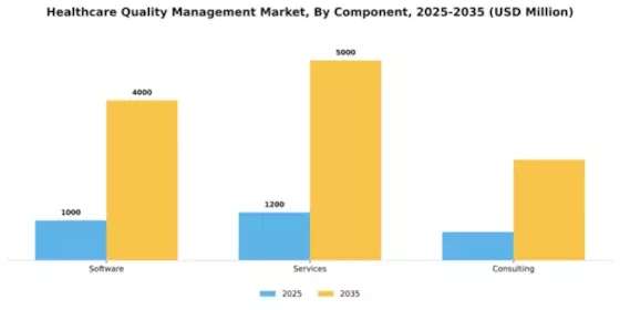 Healthcare Quality Management Market Segment Image 1