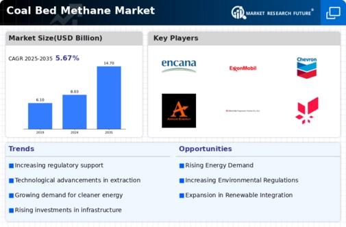 Coal Bed Methane Market Infographic
