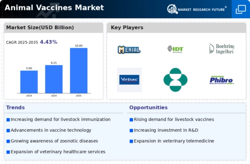 Animal Vaccines Market Infographic