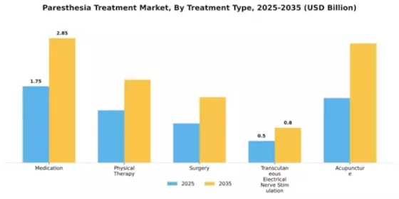 Paresthesia Treatment Market Segment Image 2