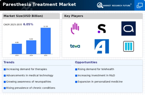 Paresthesia Treatment Market Infographic