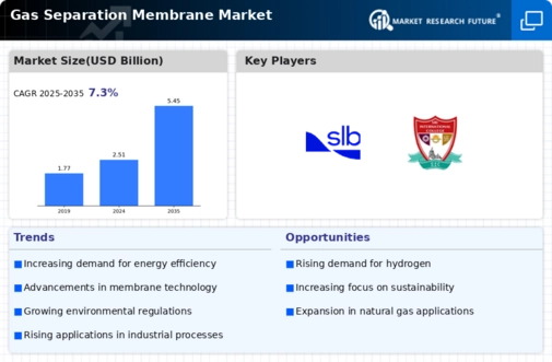 Gas Separation Membrane Market Infographic