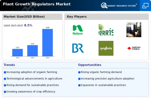 Plant Growth Regulators Market Infographic