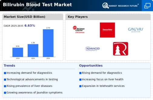 Bilirubin Blood Test Market Infographic