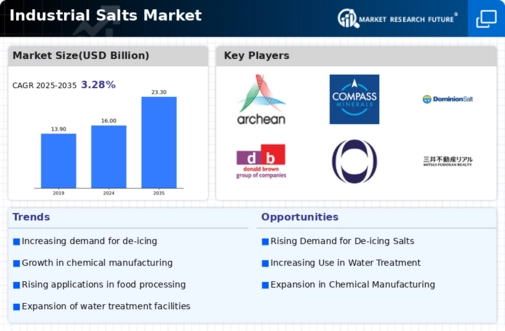 Industrial Salts Market Infographic