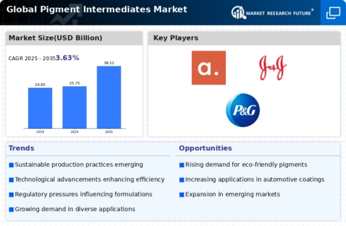 Pigment Intermediates Market Infographic