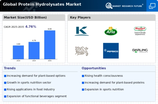 Protein Hydrolysates Market Infographic Protein Hydrolysates Market Infographic