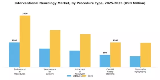Interventional Neurology Market Segment Image 2