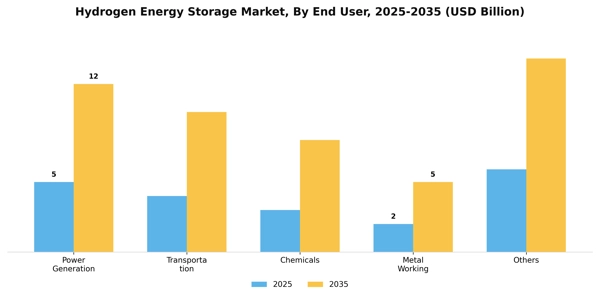 Hydrogen Energy Storage Market Segment Image 0