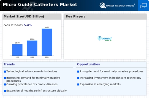 Micro Guide Catheters Market Infographic