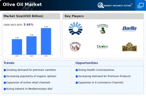 Olive Oil Market Infographic