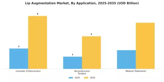 Lip Augmentation Market Segment Image 0