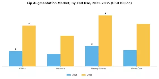 Lip Augmentation Market Segment Image 1