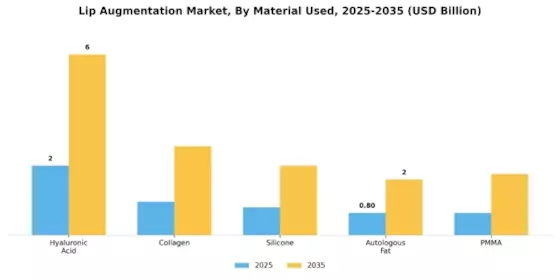 Lip Augmentation Market Segment Image 2