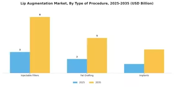 Lip Augmentation Market Segment Image 3