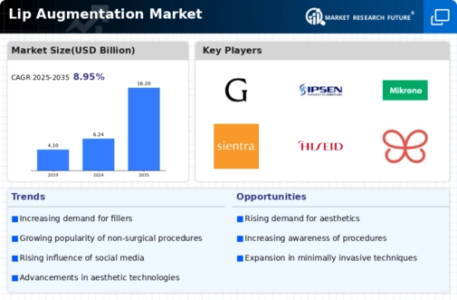 Lip Augmentation Market Infographic