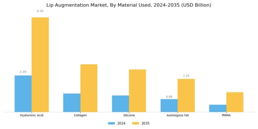 Lip Augmentation Market Segment Image 1