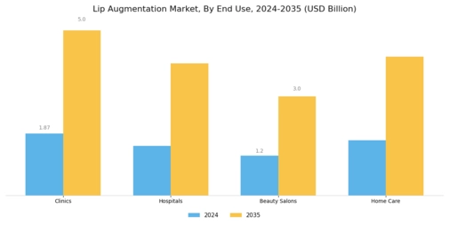 Lip Augmentation Market Segment Image 3