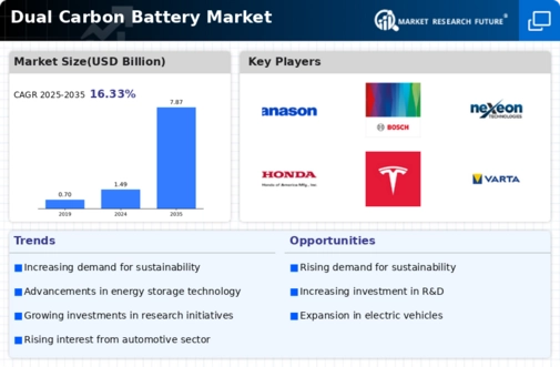 Dual Carbon Battery Market Infographic