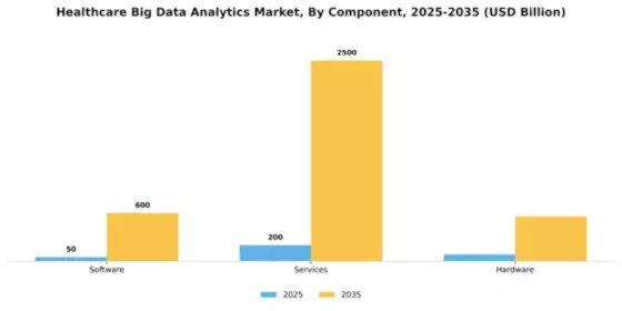 Healthcare Big Data Analytics Market Segment Image 2