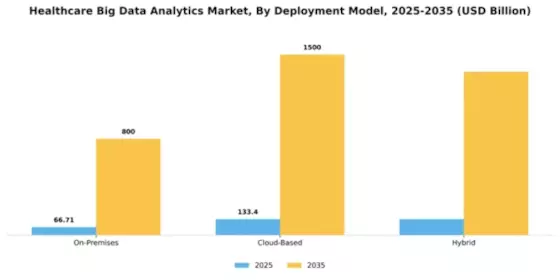 Healthcare Big Data Analytics Market Segment Image 1