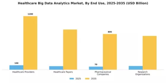 Healthcare Big Data Analytics Market Segment Image 2