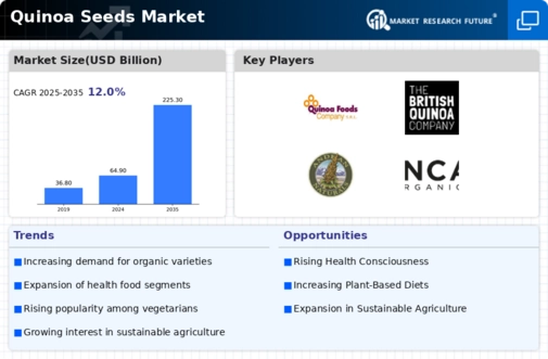 Quinoa Seeds Market Infographic