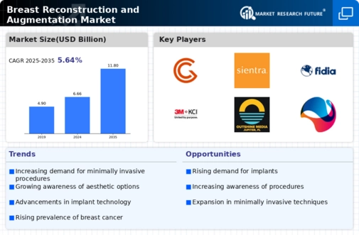 Breast Reconstruction & Augmentation Market Infographic