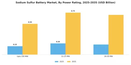 Sodium Sulfur Battery Market Segment Image 0