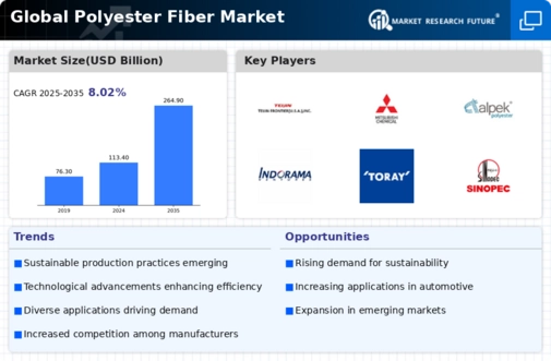 Polyester Fiber Market Infographic