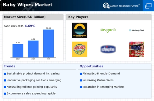 Baby Wipes Market Infographic