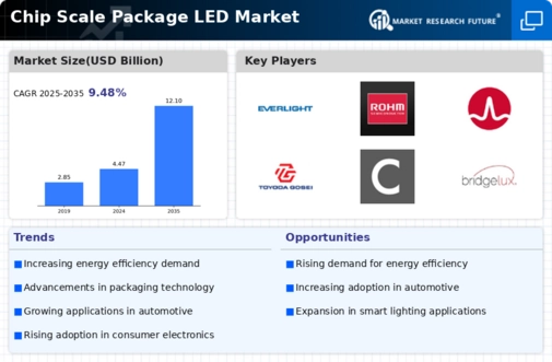 Chip Scale Package LED Market Infographic