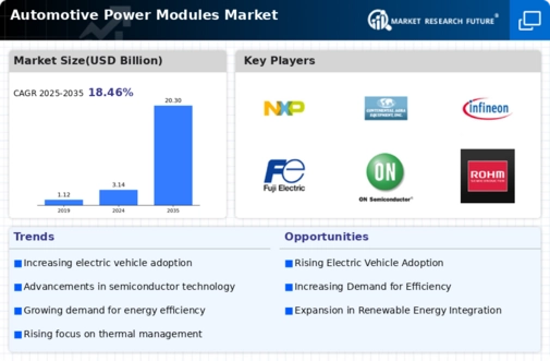 Automotive Power Modules Market Infographic