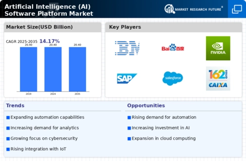Artificial Intelligence Software Platform Market Infographic