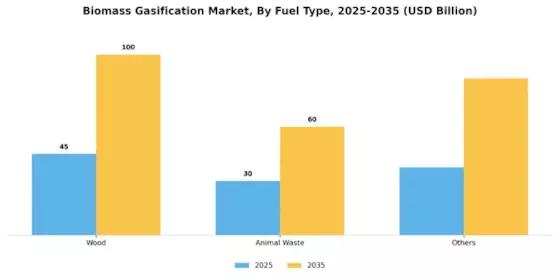 Biomass Gasification Market Segment Image 0