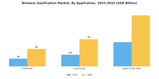 Biomass Gasification Market Segment Image 1