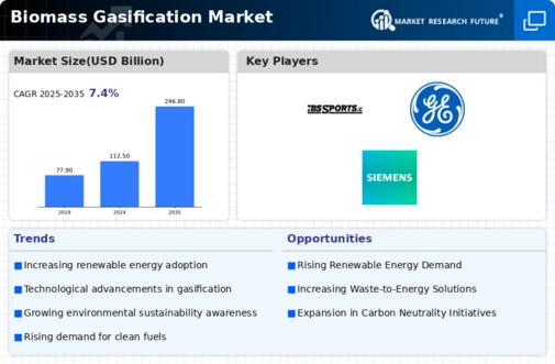 Biomass Gasification Market Infographic