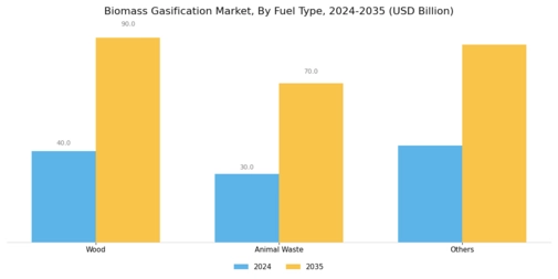 Biomass Gasification Market Segment Image 0
