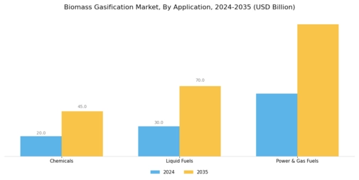 Biomass Gasification Market Segment Image 1