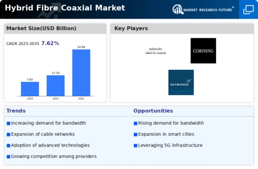 Hybrid Fibre Coaxial Market Infographic